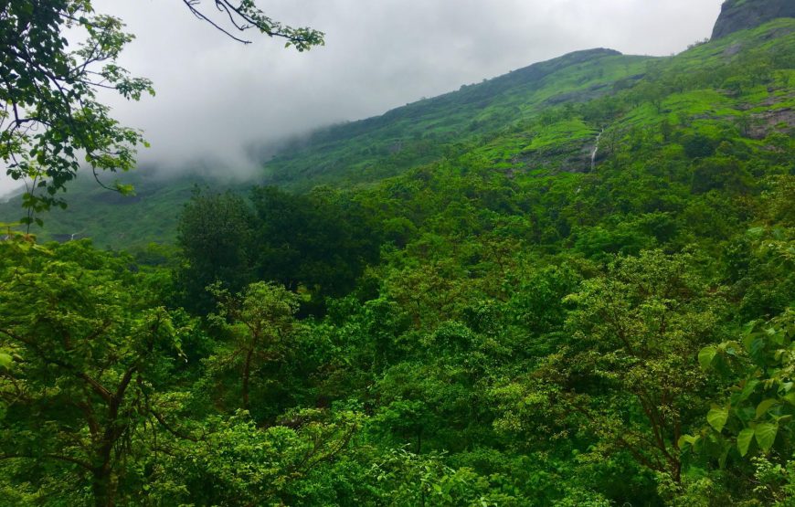 Sondai Fort Trek (Women’s Day Special)