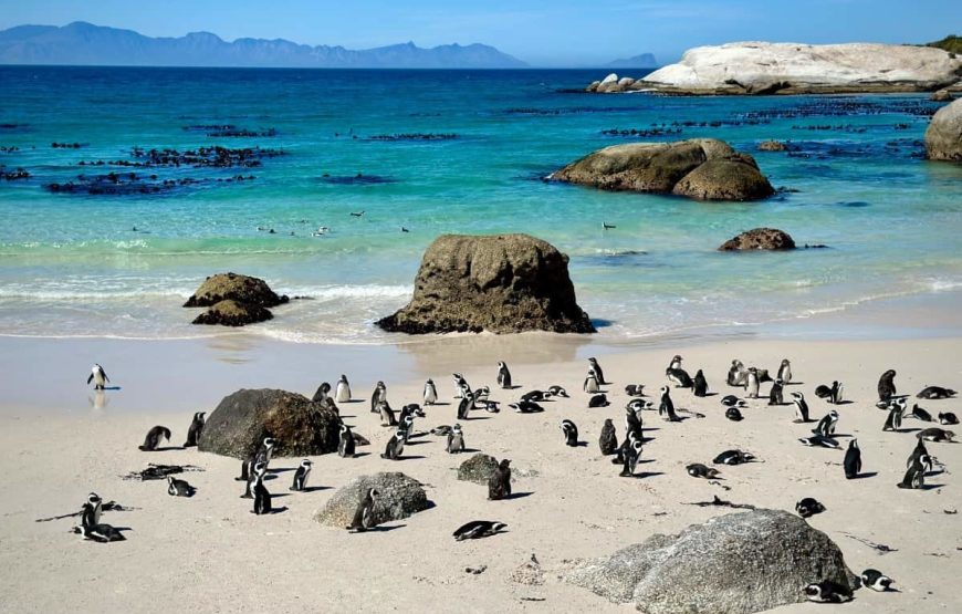 South Africa Tour from Mumbai