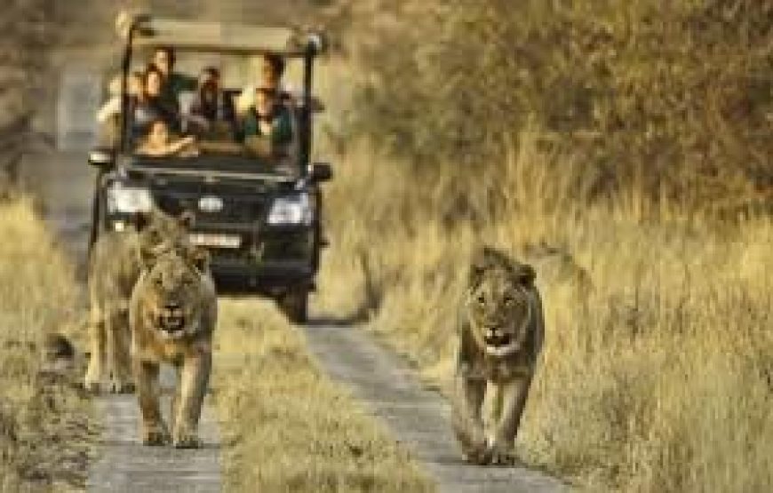 South Africa Tour from Mumbai