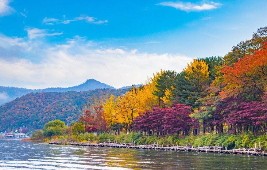 South Korea – Cherry Blossom Trip