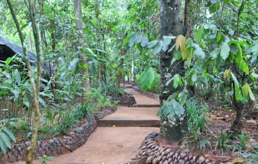 Sri Lanka Backpacking Tour From Mumbai