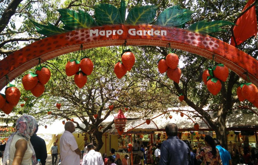 Strawberry Farm Tour Near Mahabaleshwar