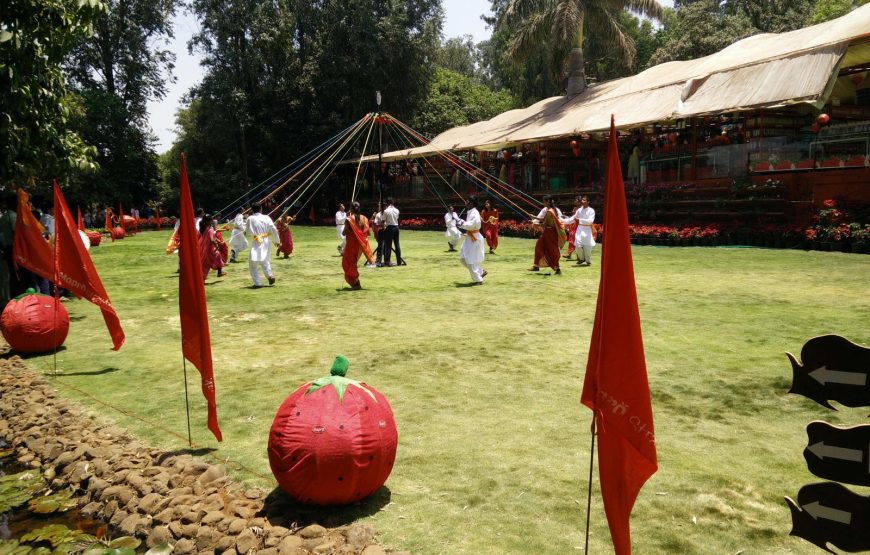 Strawberry Farm Tour Near Mahabaleshwar