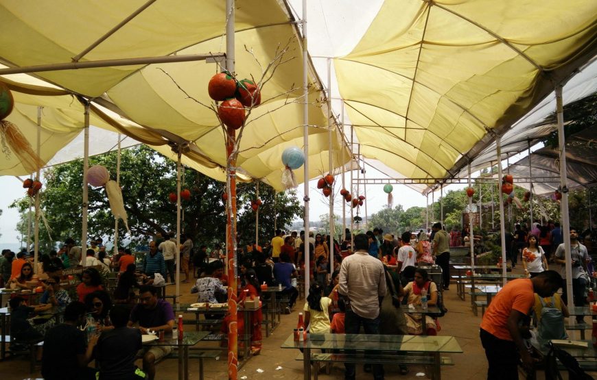 Strawberry Farm Tour Near Mahabaleshwar