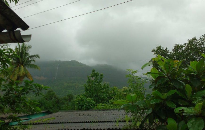 Sudhagad Monsoon Trek