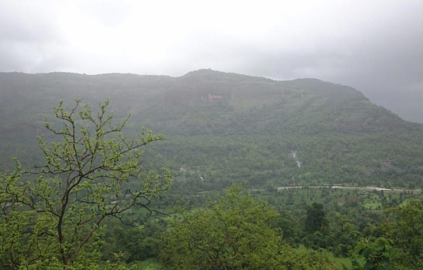 Sudhagad Monsoon Trek