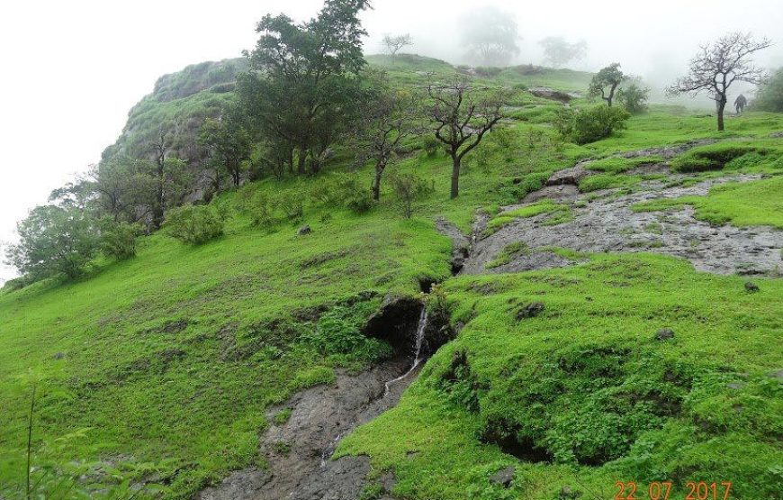 Sudhagad Monsoon Trek