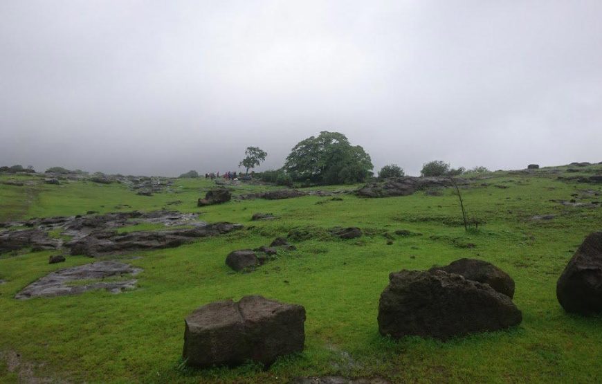Sudhagad Monsoon Trek