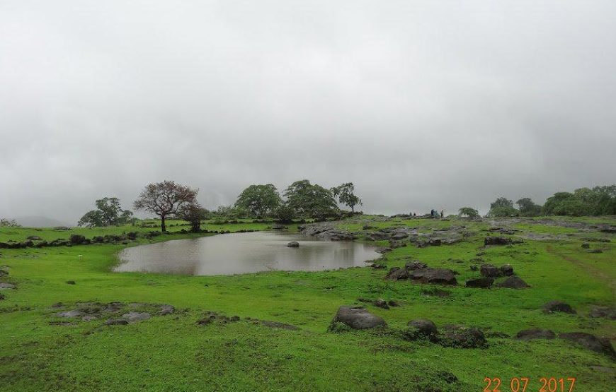 Sudhagad Monsoon Trek