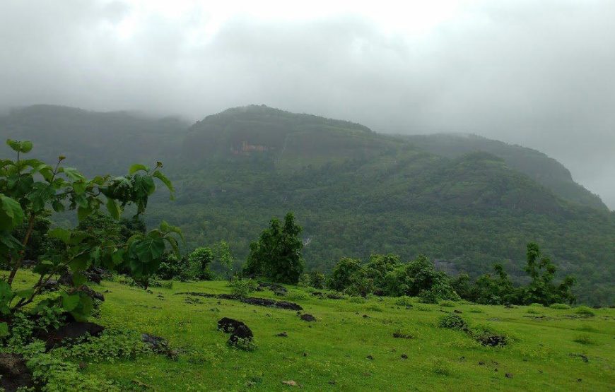 Sudhagad Monsoon Trek