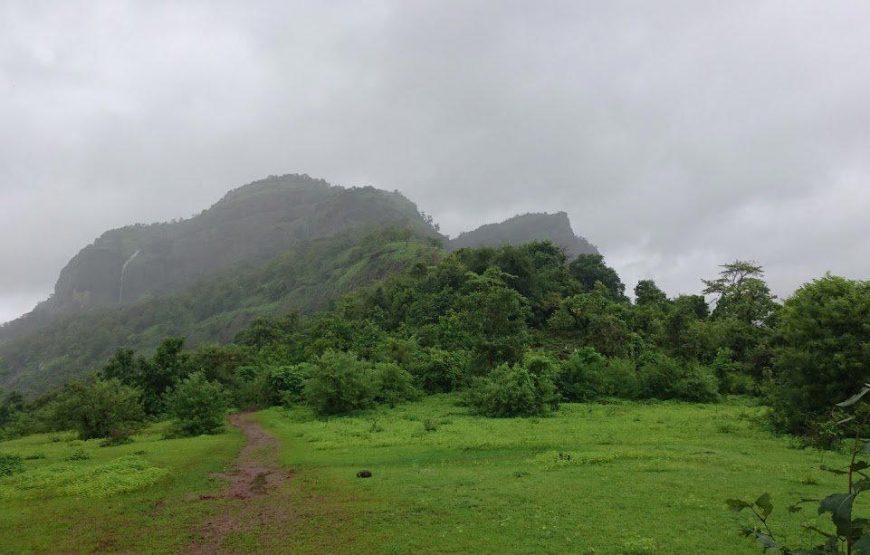 Sudhagad Monsoon Trek