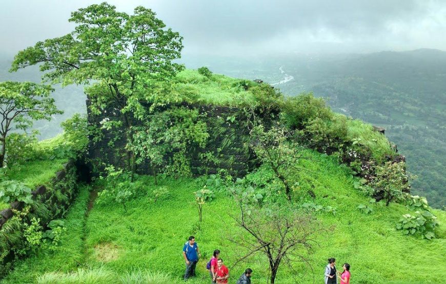 Sudhagad Monsoon Trek