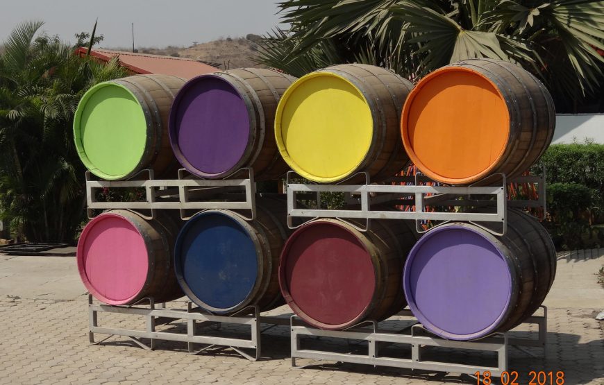 Sula Vineyards Tour