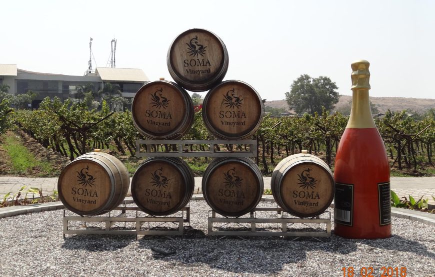Sula Vineyards Tour