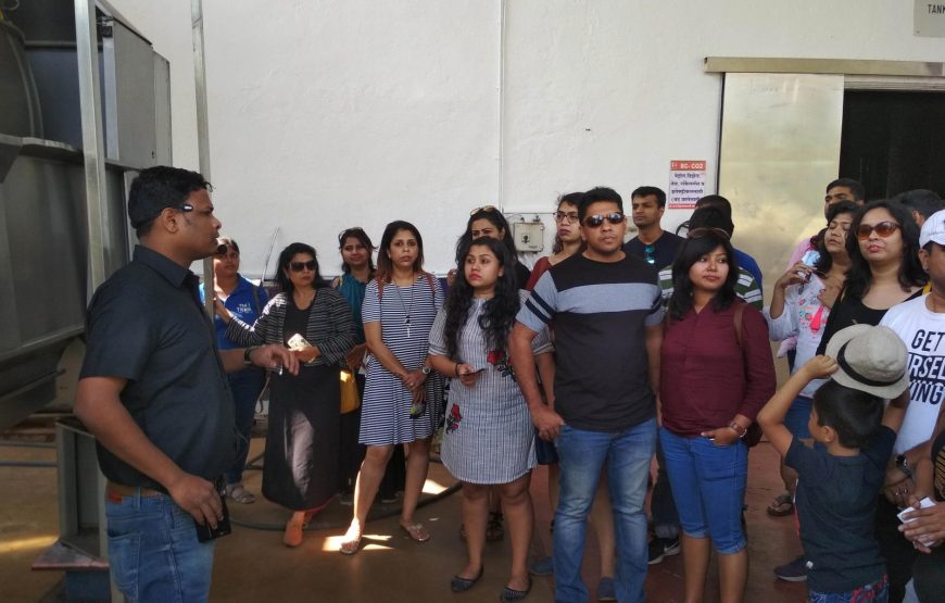 Sula Vineyards Tour