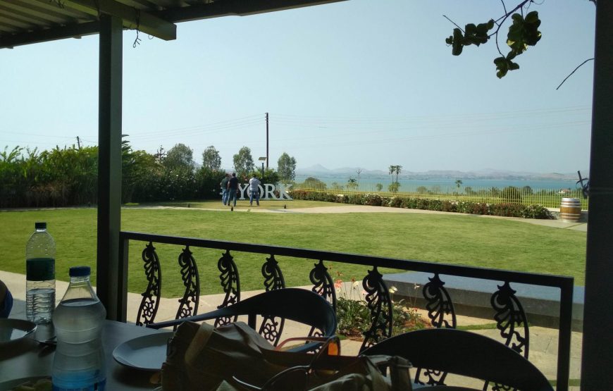 Sula Vineyards Tour