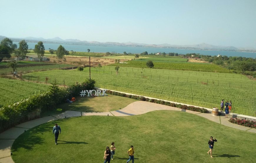 Sula Vineyards Tour