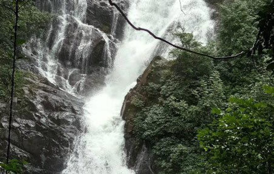 Dudhsagar Waterfall and Tambdi Surla Waterfall Trek