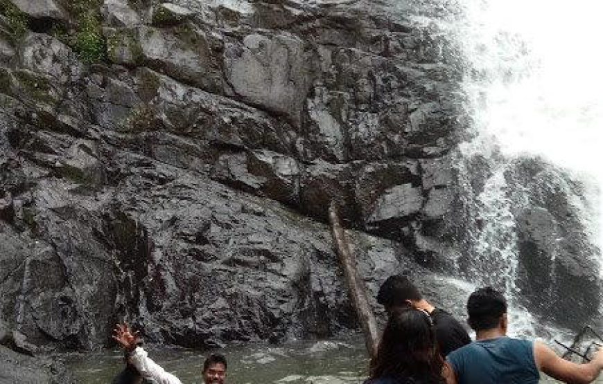 Dudhsagar Waterfall and Tambdi Surla Waterfall Trek