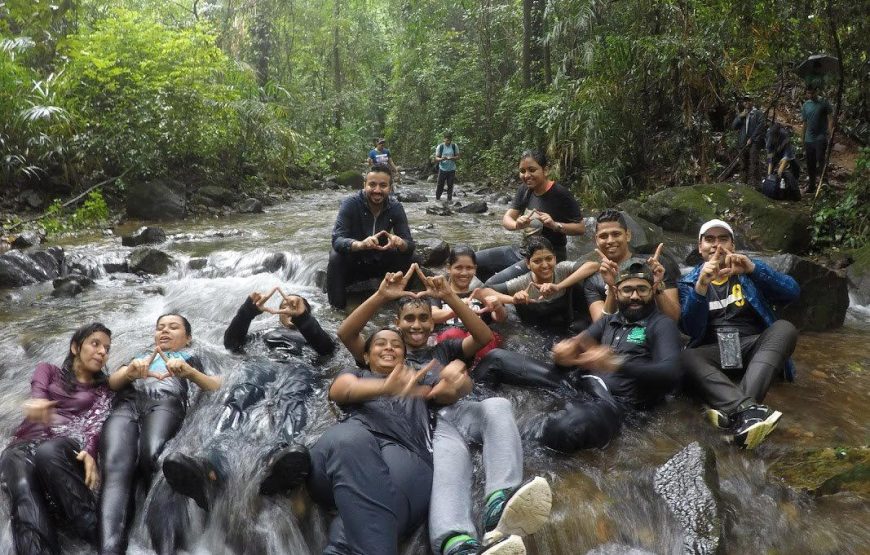 Dudhsagar Waterfall and Tambdi Surla Waterfall Trek