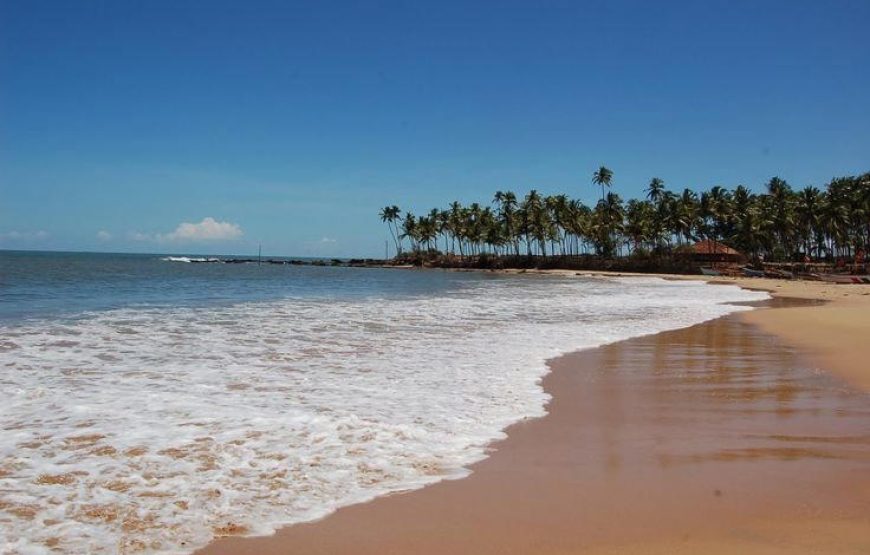 Malvan Exploration Tour