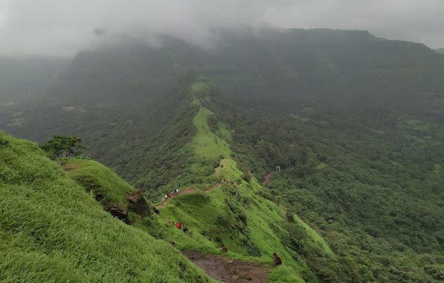 Tikona Fort Trek from Mumbai