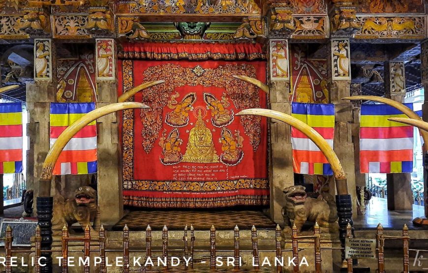 Sri Lanka Backpacking Tour From Mumbai