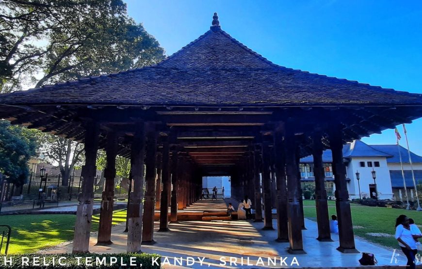 Sri Lanka – New Year Special Tour