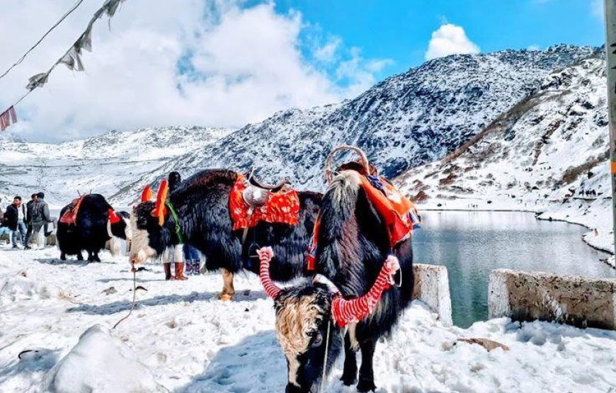 Sikkim With Darjeeling Tour Package From Mumbai