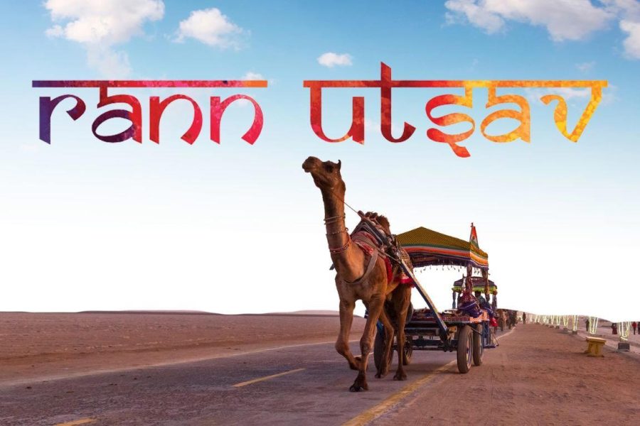 Rann of Kutch from Mumbai via Ahmedabad