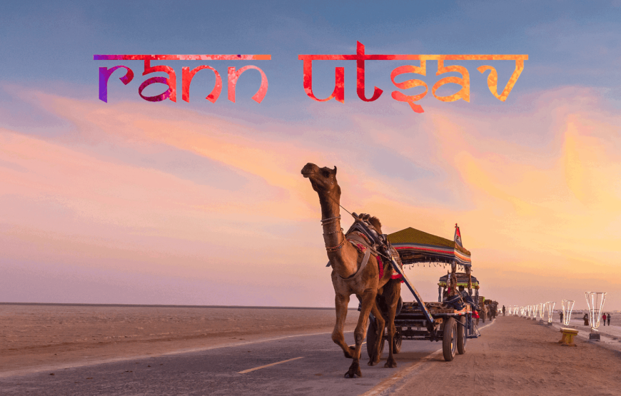 Great Rann of Kutch with Dholavira