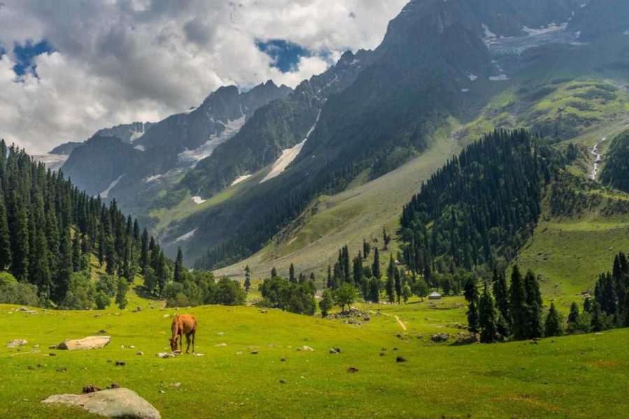 Mystic valleys of Kashmir