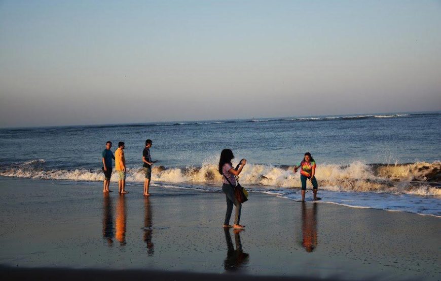 Velas Turtle Festival Tour 2026 From Mumbai