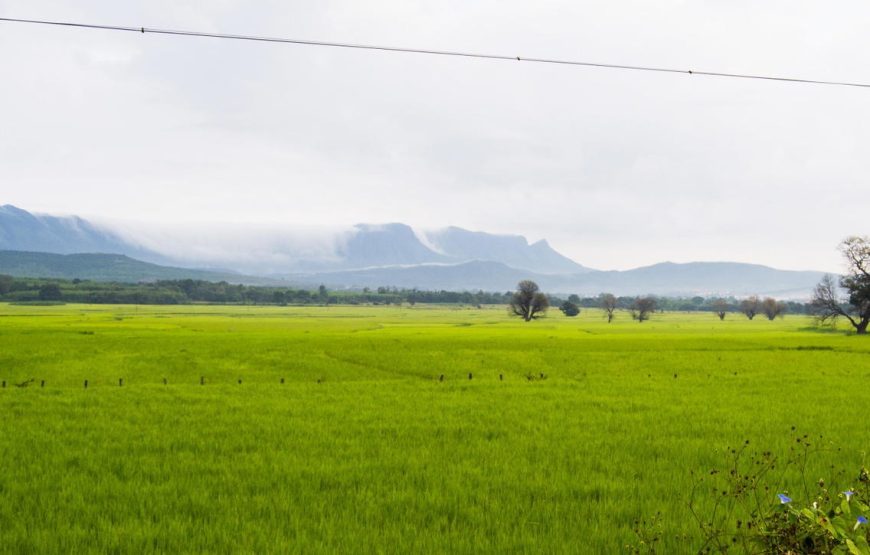 Chikmaglur & Hoysaleshwara Offbeat Tour