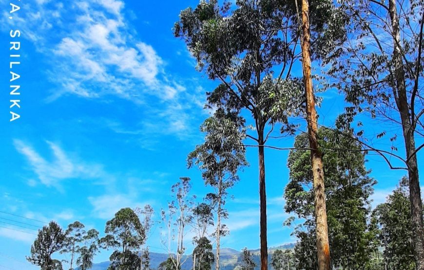 Sri Lanka Backpacking Tour From Mumbai