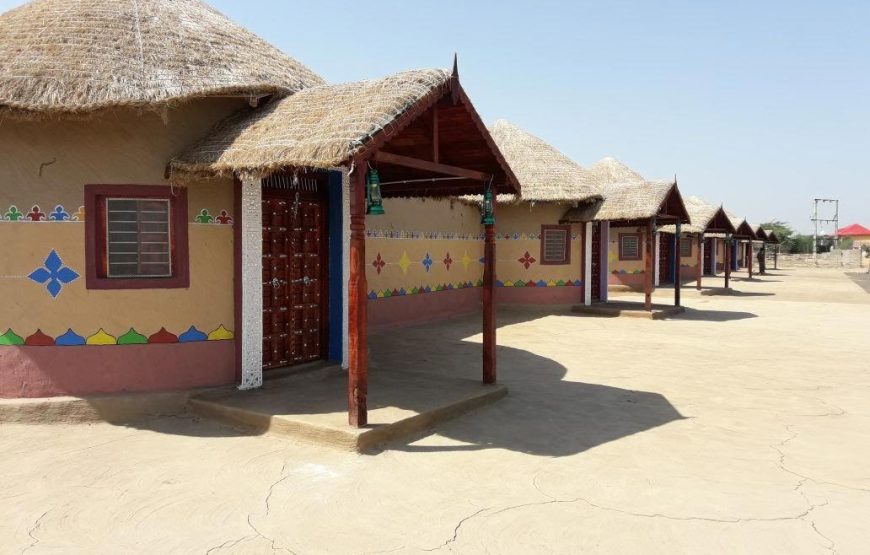 Great Rann of Kutch with Dholavira