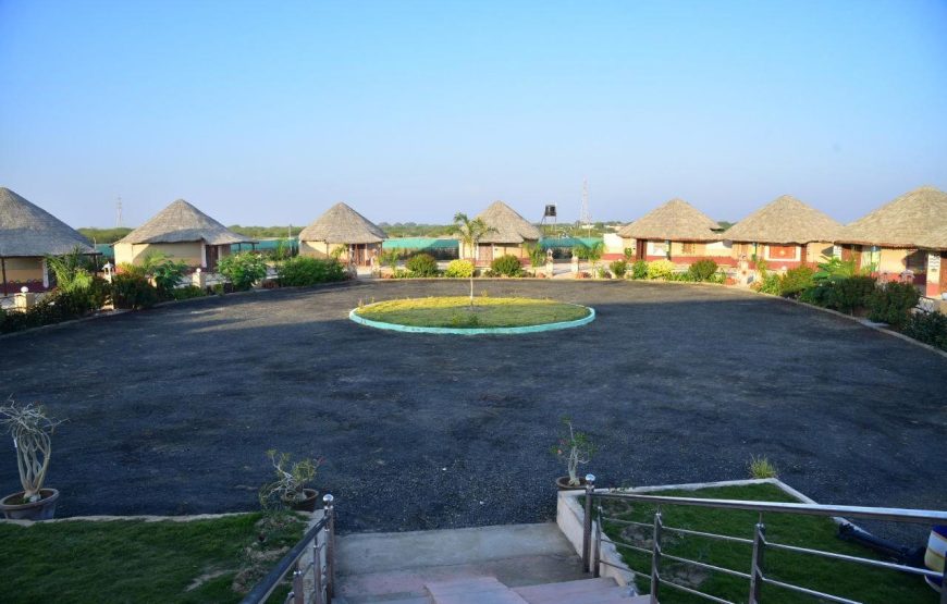 Rann of Kutch – Holi Special