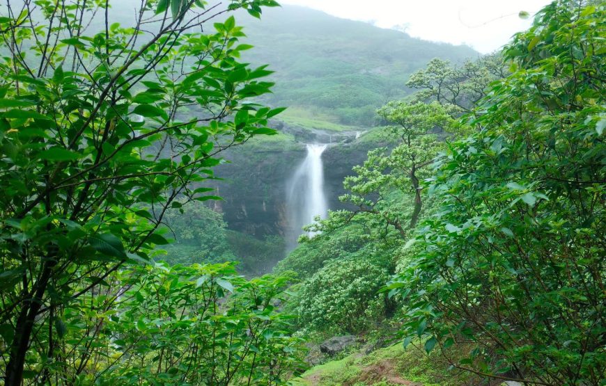 Unexplored Trek to Jabdeshwar Caves & Waterfall