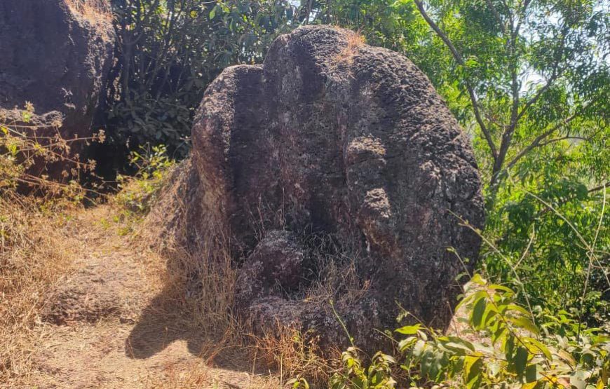 South Konkan Tour