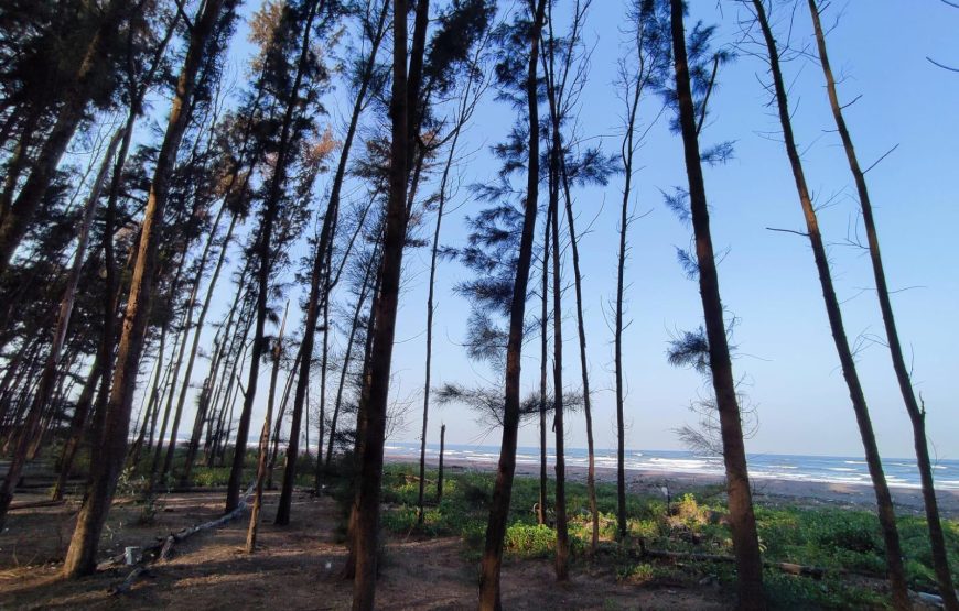 Ratnagiri – Ganapatipule – Guhagar Tour