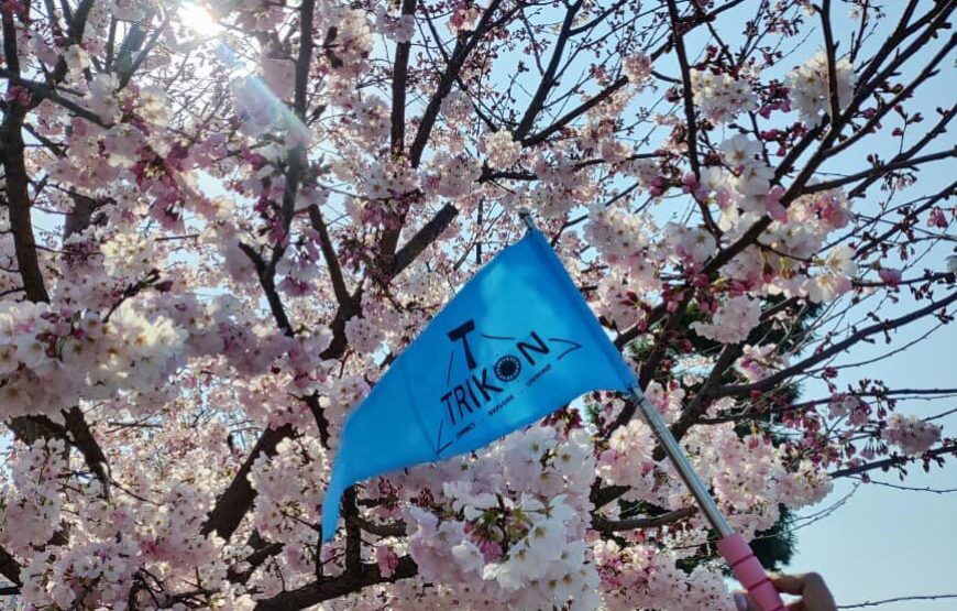 Cherry Blossom Special Japan Backpacking Tour