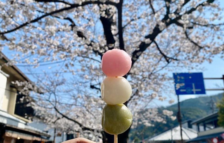 Cherry Blossom Special Japan Backpacking Tour