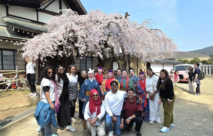 Cherry Blossom Special Japan Backpacking Tour