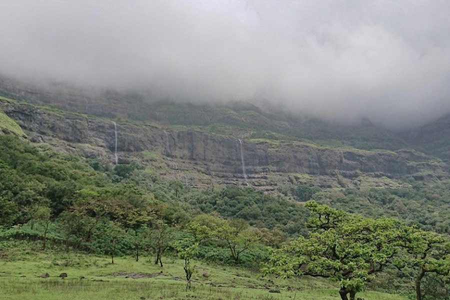 Aadrai Jungle Trek from Mumbai
