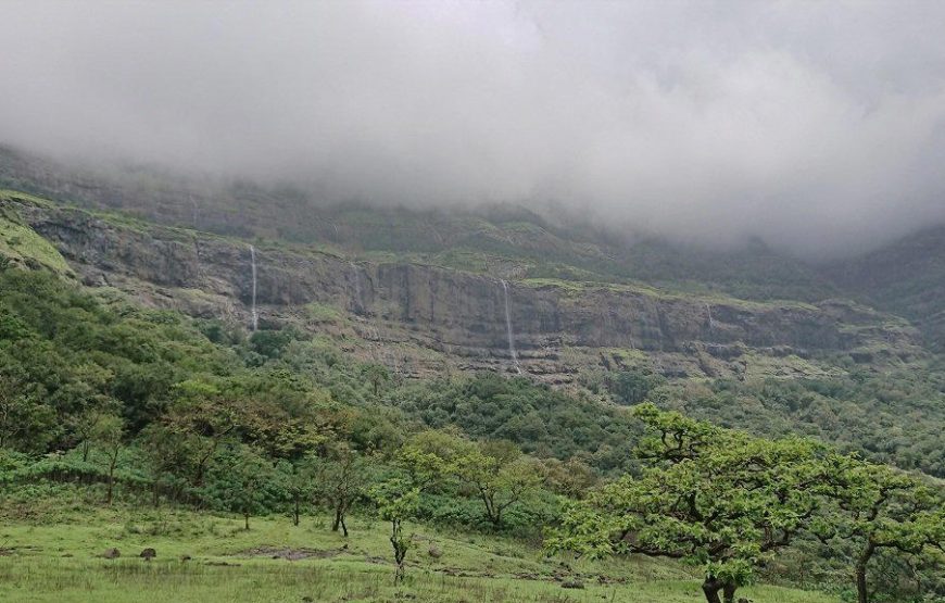 Aadrai Jungle Trek from Pune