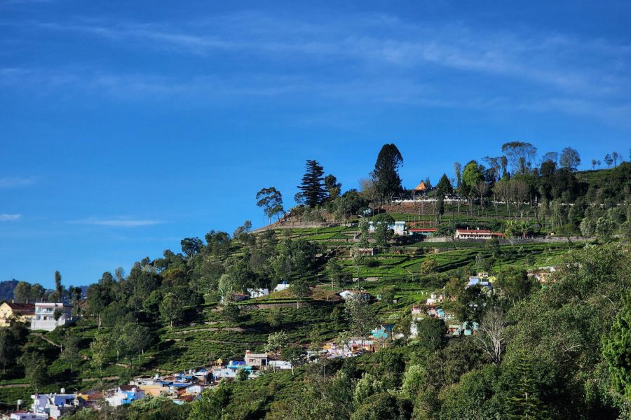 Royal Mysore, Wild Bandipur & Scenic Ooty Escape