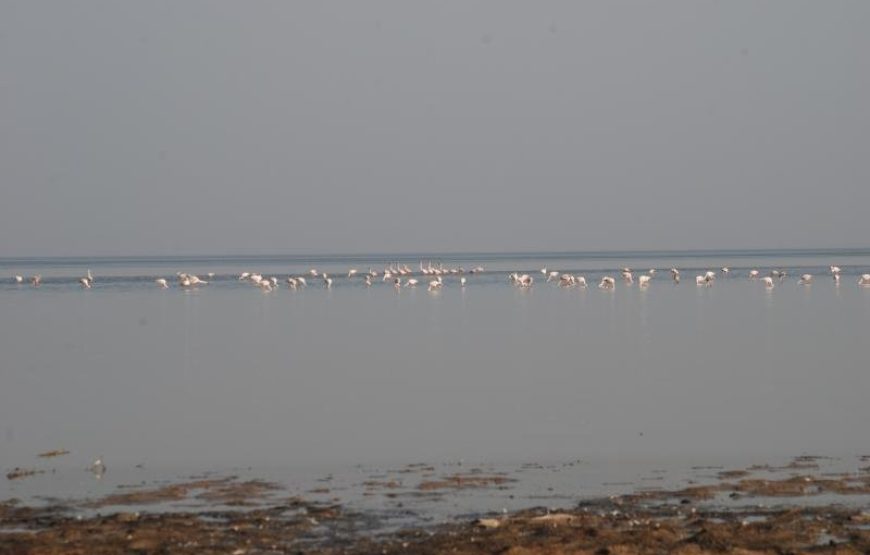 Great Rann of Kutch with Dholavira