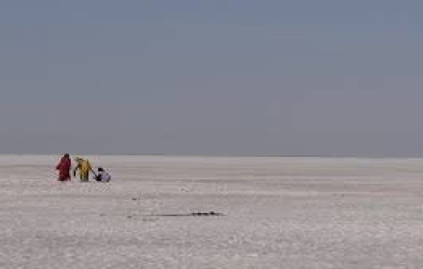 Rann of Kutch – Holi Special