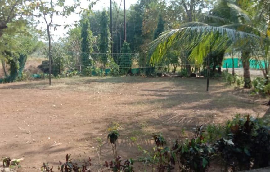 Valentine Day Special Camping At Kolad