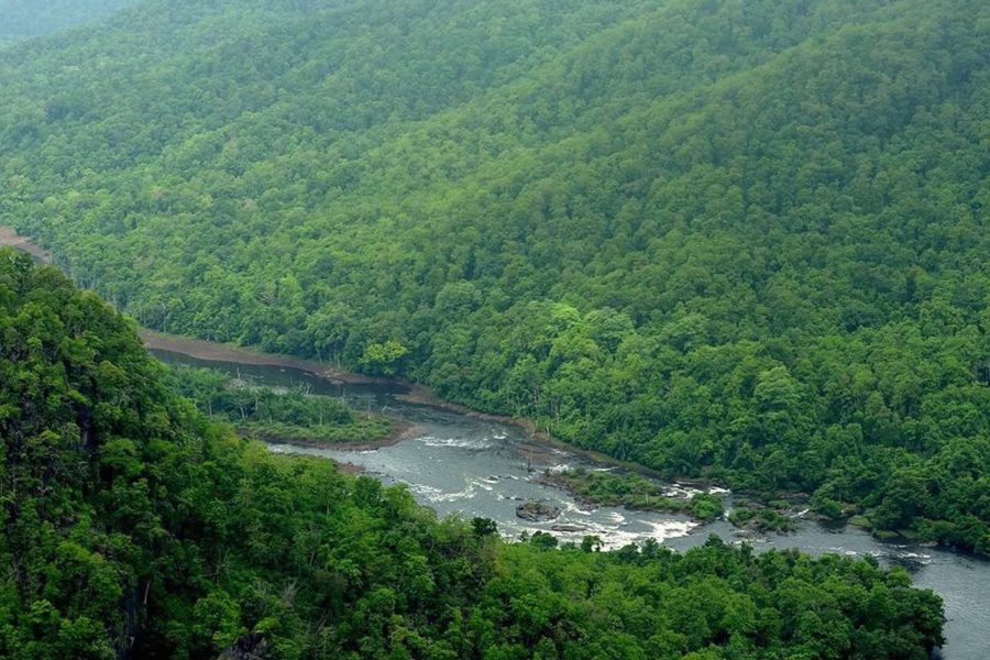 Dandeli Forest Adventure Tour